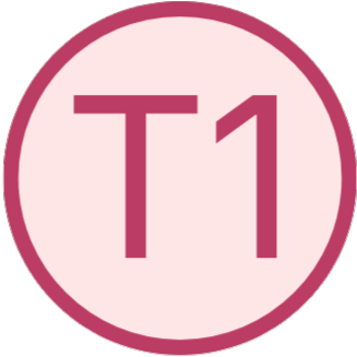 Od 0 do&nbsp;pierwszych 3000 zł online cyfra T1