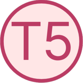 Od 0 do&nbsp;pierwszych 3000 zł online cyfra T5